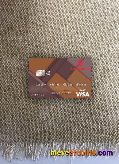 Jamaica Scotiabank visa debit card photolook